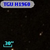 TGU H1960