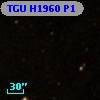 TGU H1960 P1