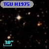 TGU H1975