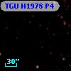 TGU H1978 P4