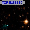 TGU H1978 P7