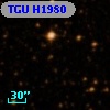 TGU H1980