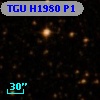 TGU H1980 P1