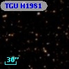 TGU H1981