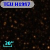 TGU H1987