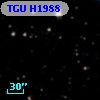 TGU H1988