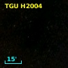 TGU H2004