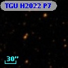 TGU H2022 P7