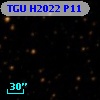 TGU H2022 P11