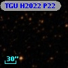 TGU H2022 P22