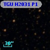 TGU H2031 P1