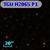 TGU H2065 P1