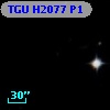 TGU H2077 P1