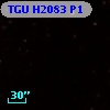 TGU H2083 P1