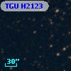 TGU H2123