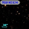 TGU H2124