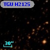 TGU H2125