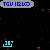 TGU H2163
