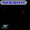 TGU H2164 P14