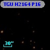 TGU H2164 P16