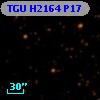 TGU H2164 P17