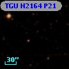TGU H2164 P21