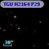 TGU H2164 P29