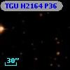 TGU H2164 P36
