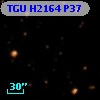 TGU H2164 P37