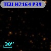 TGU H2164 P39