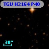 TGU H2164 P40