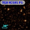 TGU H2185 P1
