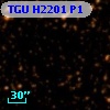 TGU H2201 P1