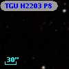 TGU H2203 P8