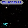 TGU H2203 P9
