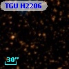 TGU H2206
