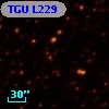 TGU L229