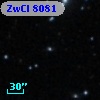 ZwCl  8081