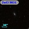 ZwCl  9031