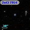 ZwCl  7954