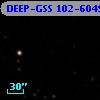 DEEP-GSS 102-6049