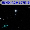 USNO-A2.0 1275-09075196