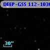 DEEP-GSS 112-1036