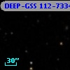 DEEP-GSS 112-7334