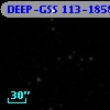 DEEP-GSS 113-1858