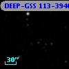 DEEP-GSS 113-3946