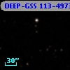 DEEP-GSS 113-4973