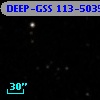 DEEP-GSS 113-5035
