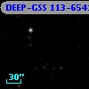DEEP-GSS 113-6541