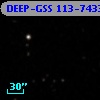 DEEP-GSS 113-7433